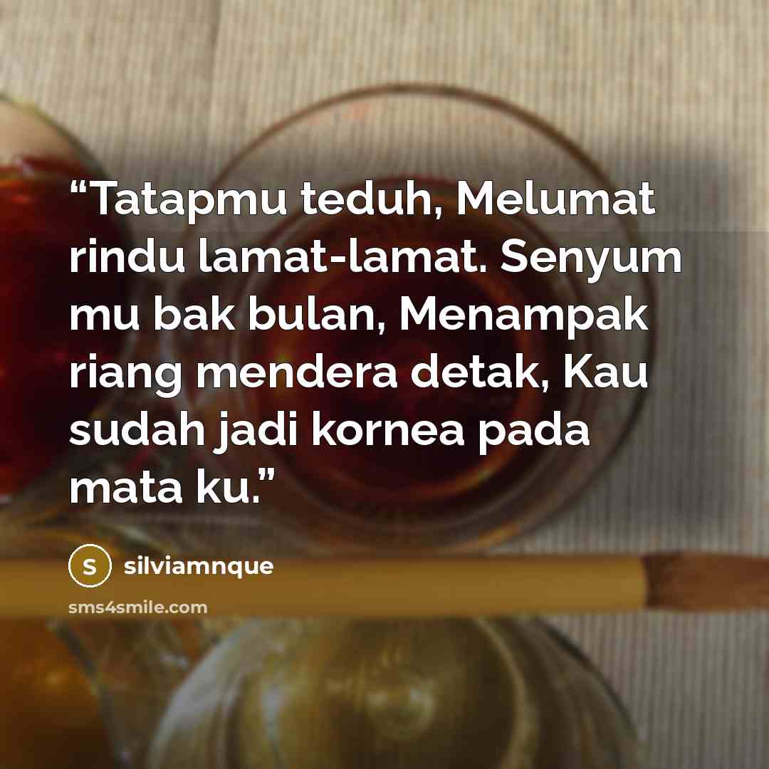 “Tatapmu teduh, Melumat rindu lamat-lamat. Senyum mu bak bulan, Menampak riang mendera detak, Kau sudah jadi kornea pada mata ku.” quote by silviamnque