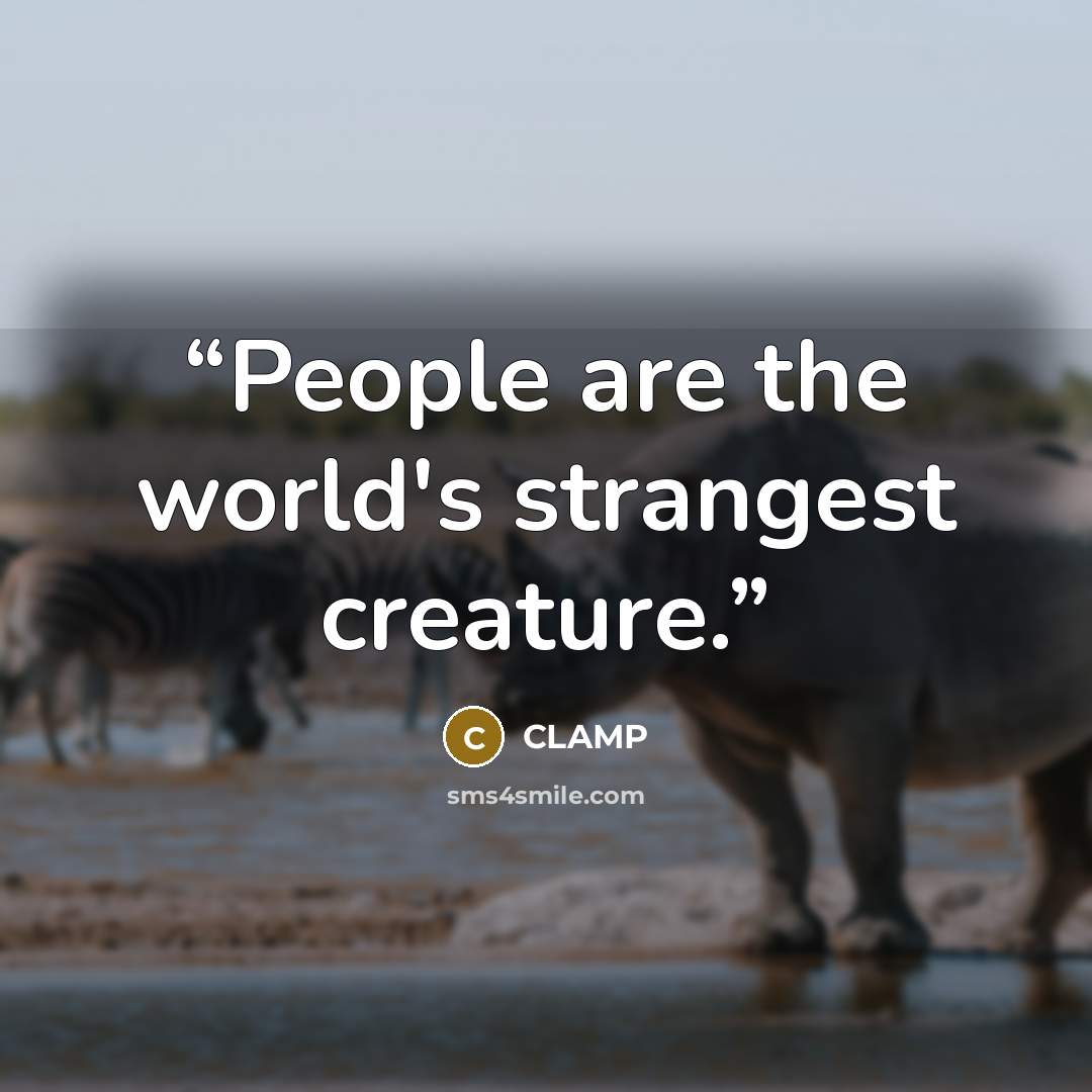 “People are the world's strangest creature.” quote by Clamp