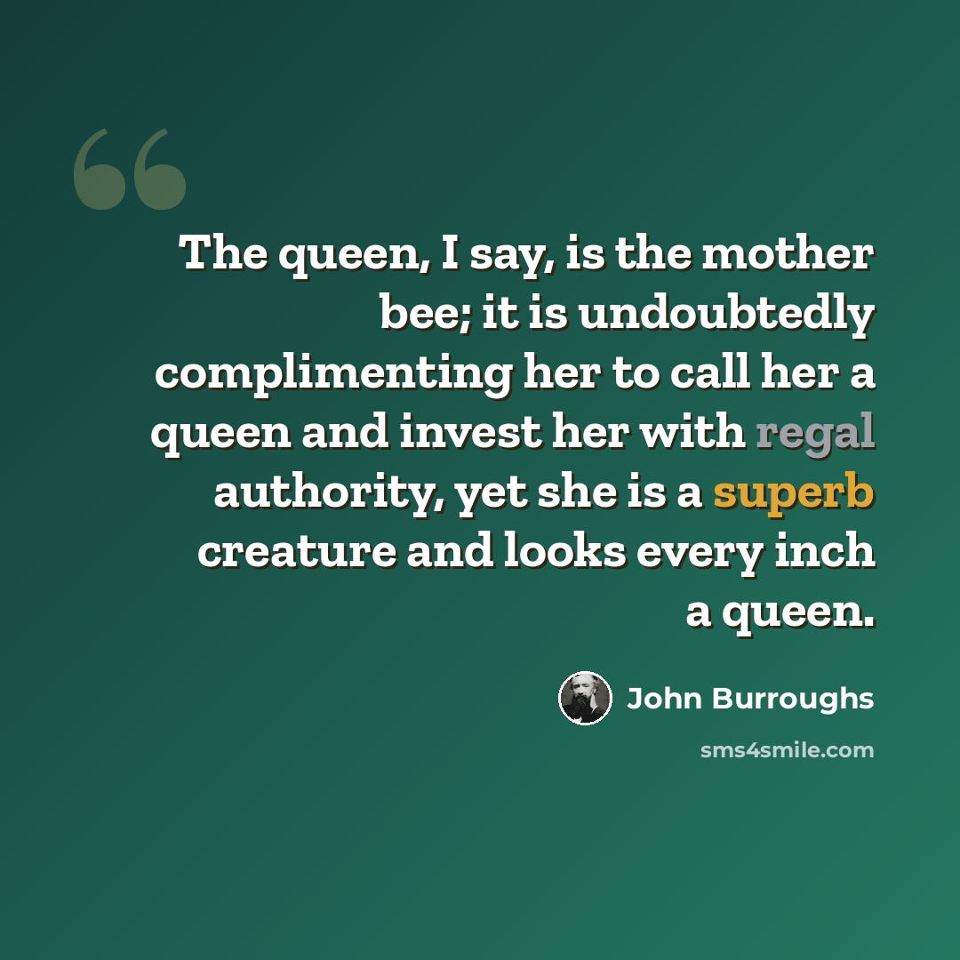 “The queen, I say, is the mother bee; it is undoubtedly complimenting her to call her a queen and invest her with regal authority, yet she is a superb creature and looks every inch a queen.” quote by John Burroughs