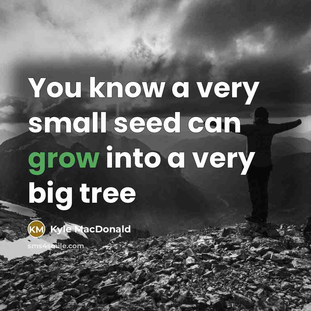 “You know a very small seed can grow into a very big tree” quote by Kyle MacDonald