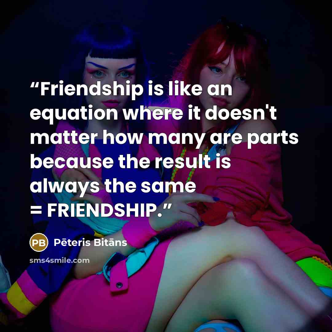 “Friendship is like an equation where it doesn't matter how many are parts because the result is always the same = FRIENDSHIP.” quote by Pēteris Bitāns