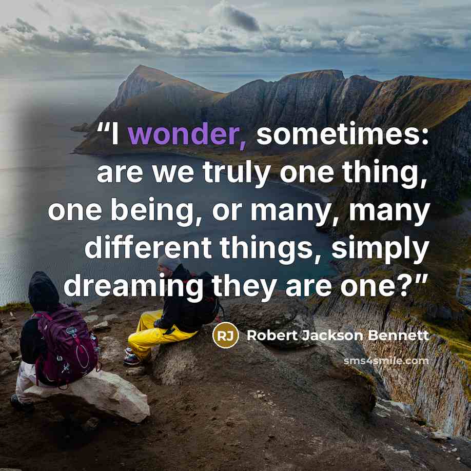 “I wonder, sometimes: are we truly one thing, one being, or many, many different things, simply dreaming they are one?” quote by Robert Jackson Bennett