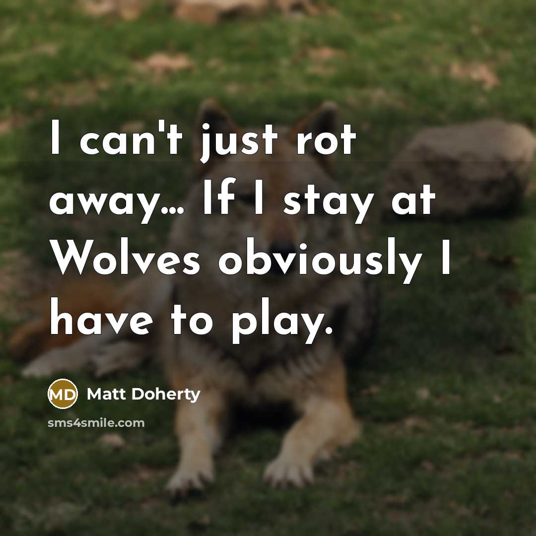 “I can't just rot away... If I stay at Wolves obviously I have to play.” quote by Matt Doherty