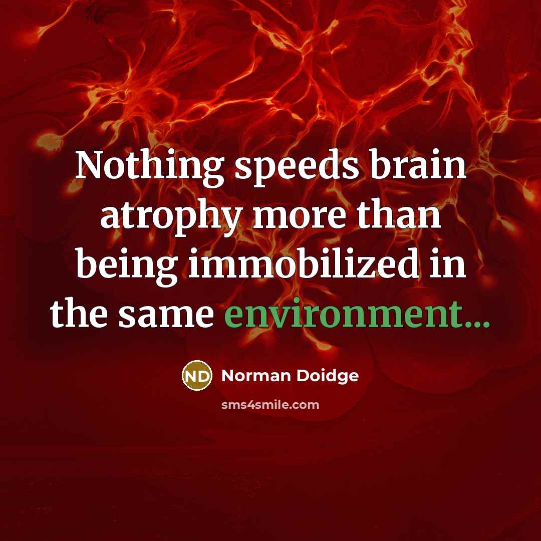 “Nothing speeds brain atrophy more than being immobilized in the same environment...” quote by Norman Doidge