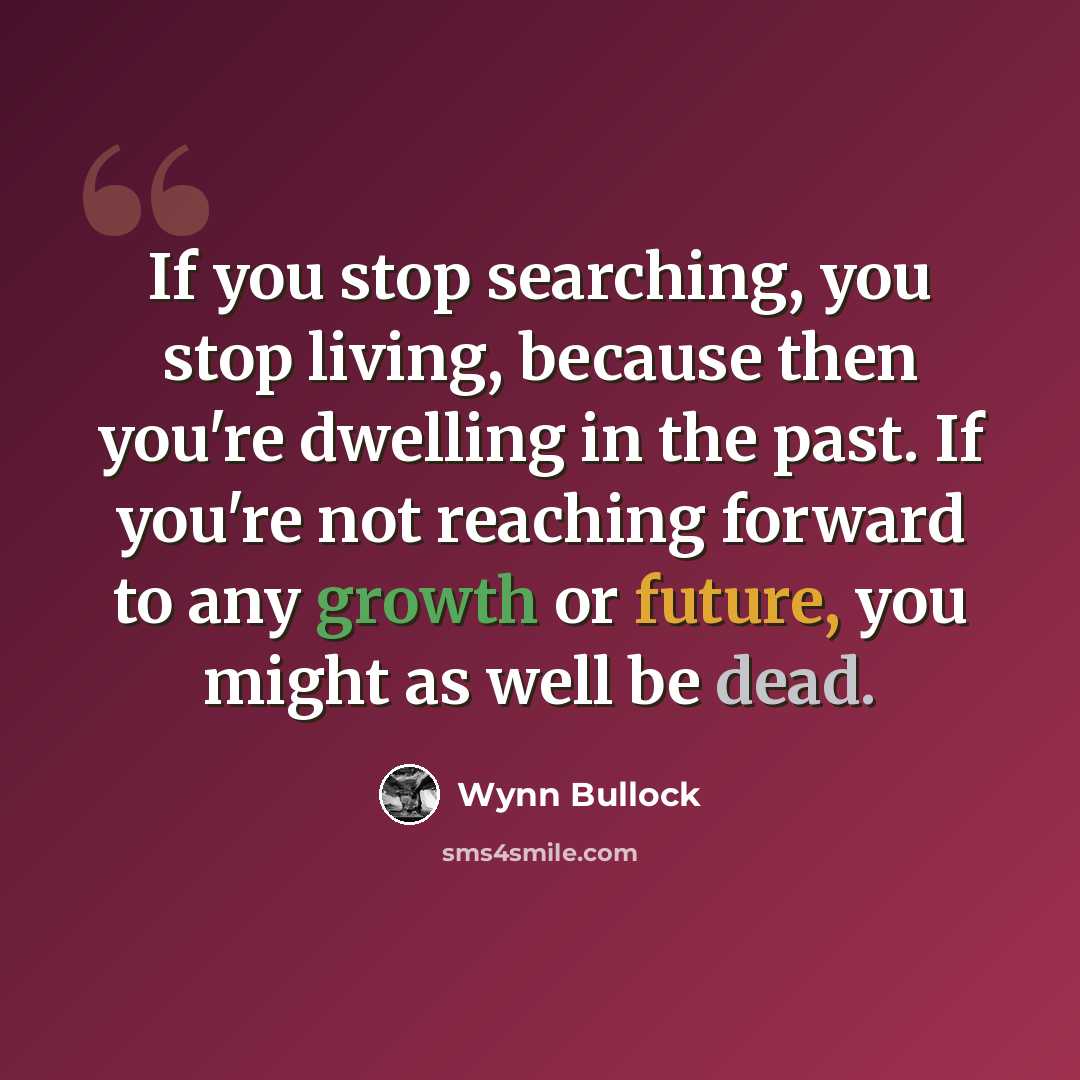 “If you stop searching, you stop living, because then you're dwelling in the past. If you're not reaching forward to any growth or future, you might as well be dead.” quote by Wynn Bullock