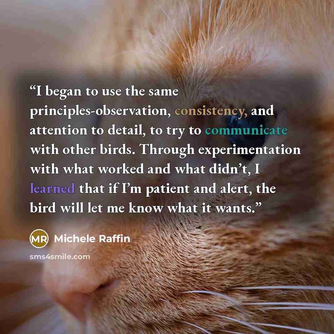 “I began to use the same principles-observation, consistency, and attention to detail, to try to communicate with other birds. Through experimentation with what worked and what didn’t, I learned that if I’m patient and alert, the bird will let me know what it wants.” quote by Michele Raffin