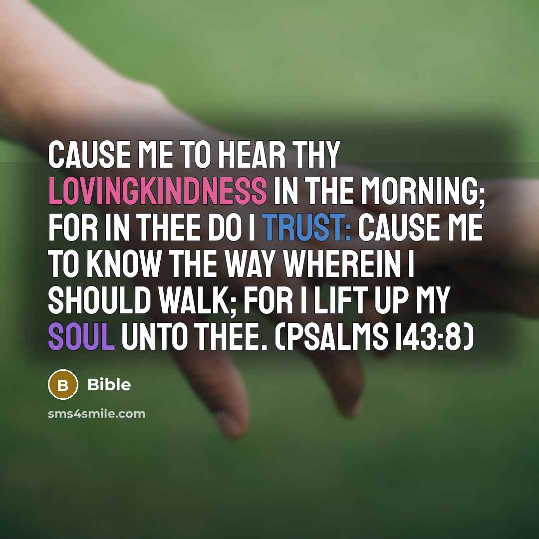 “Cause me to hear thy lovingkindness in the morning; for in thee do I trust: cause me to know the way wherein I should walk; for I lift up my soul unto thee. (Psalms 143:8)” quote by Bible