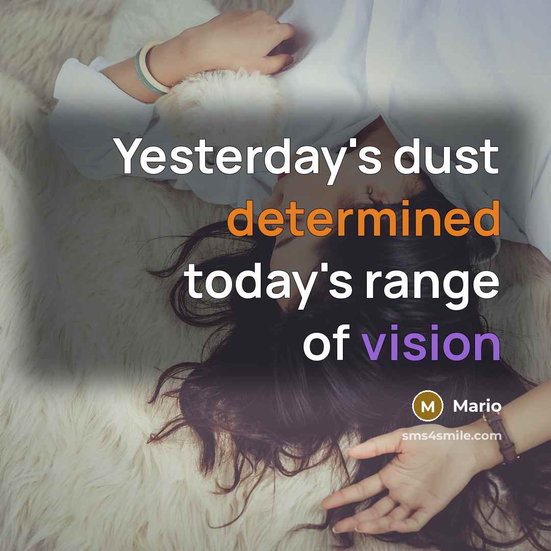 “Yesterday's dust determined today's range of vision” quote by Mario