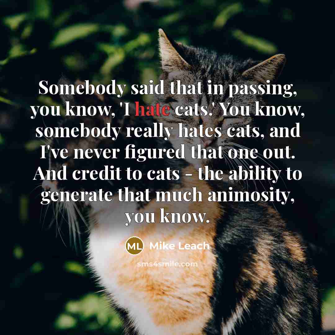 “Somebody said that in passing, you know, 'I hate cats.' You know, somebody really hates cats, and I've never figured that one out. And credit to cats - the ability to generate that much animosity, you know.” quote by Mike Leach