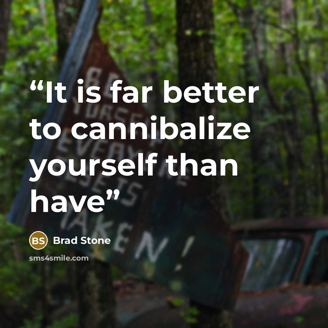 “It is far better to cannibalize yourself than have” quote by Brad Stone