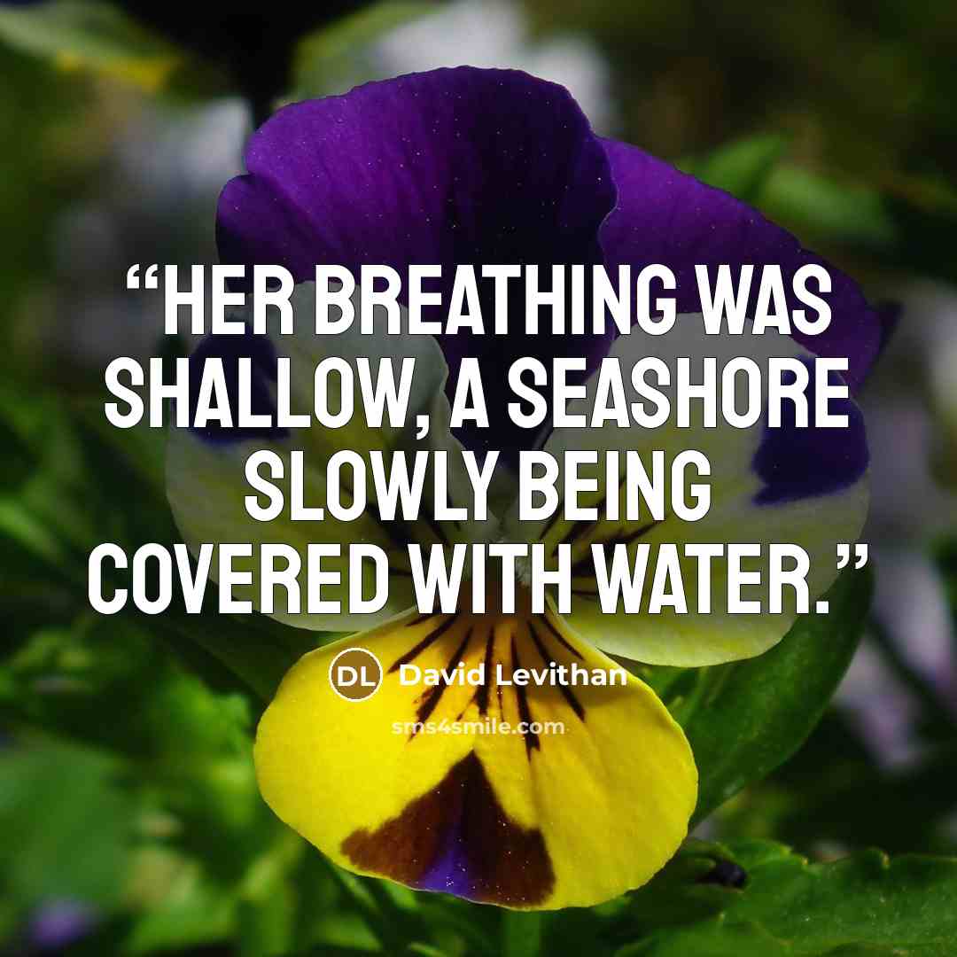 “Her breathing was shallow, a seashore slowly being covered with water.” quote by David Levithan