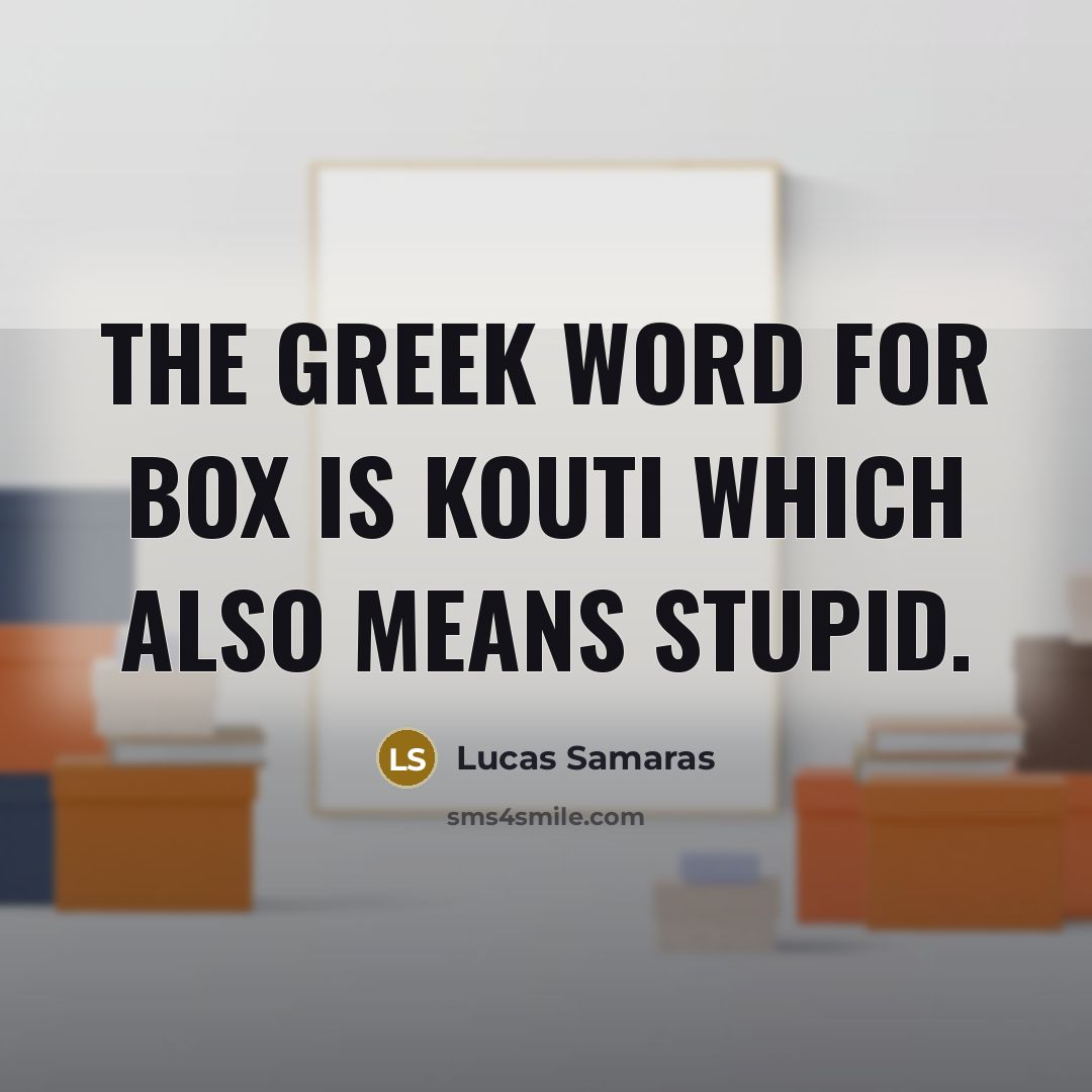 “The Greek word for box is kouti which also means stupid.” quote by Lucas Samaras