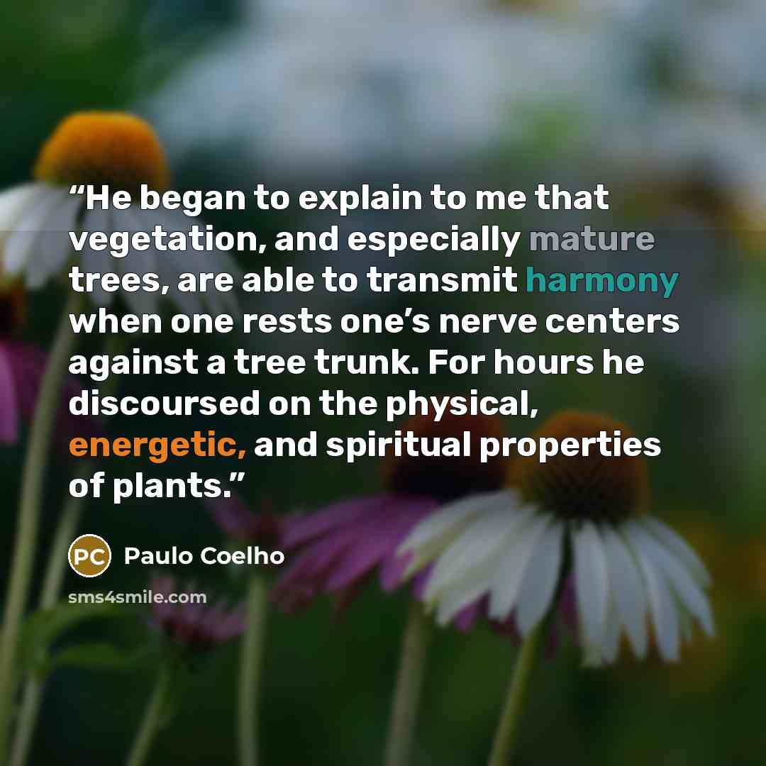 “He began to explain to me that vegetation, and especially mature trees, are able to transmit harmony when one rests one’s nerve centers against a tree trunk. For hours he discoursed on the physical, energetic, and spiritual properties of plants.” quote by Paulo Coelho