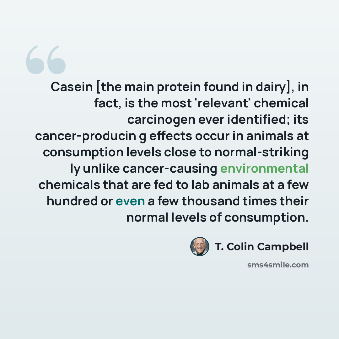 “Casein [the main protein found in dairy], in fact, is the most 'relevant' chemical carcinogen ever identified; its cancer-producin g effects occur in animals at consumption levels close to normal-striking ly unlike cancer-causing environmental chemicals that are fed to lab animals at a few hundred…” quote by T. Colin Campbell