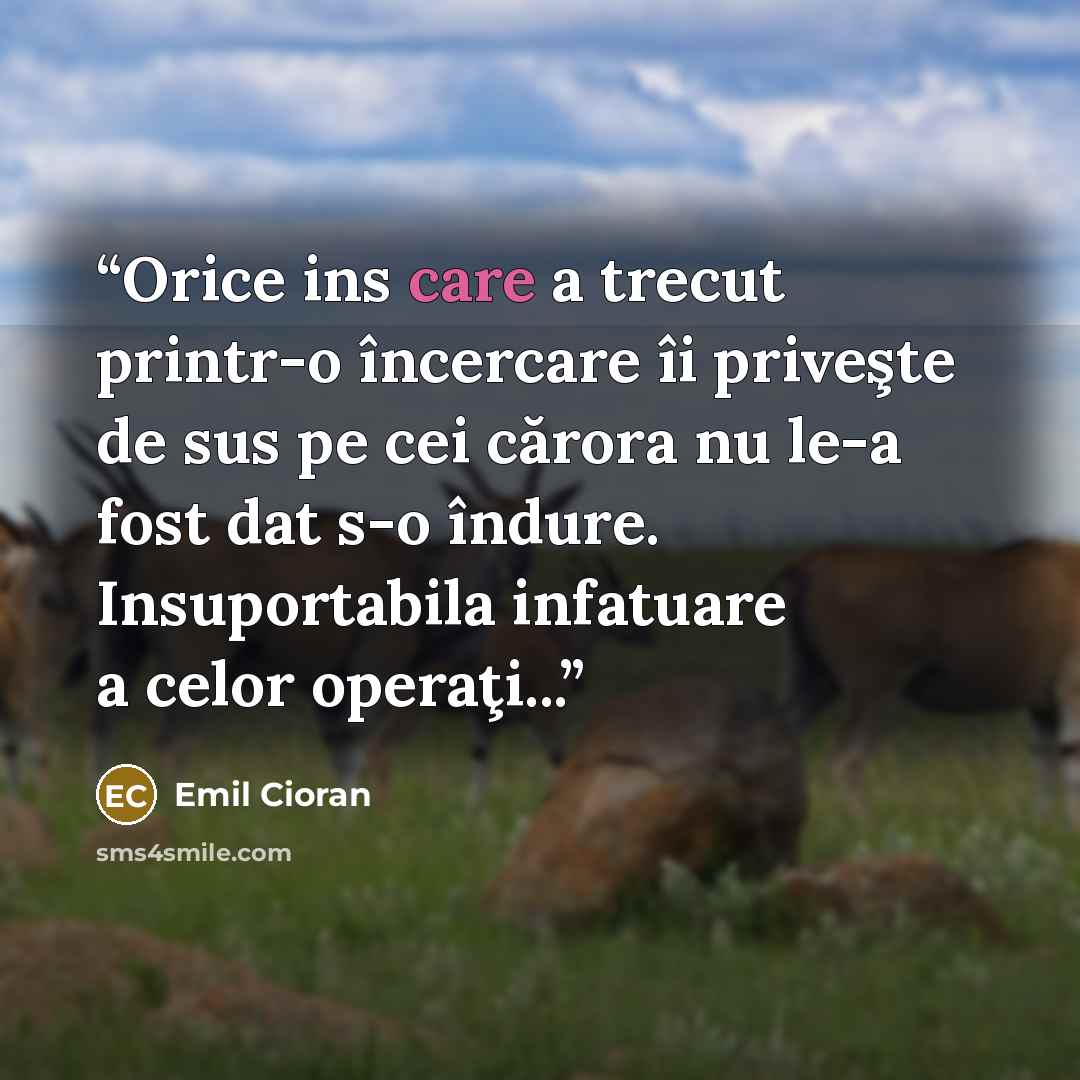 “Orice ins care a trecut printr-o încercare îi priveşte de sus pe cei cărora nu le-a fost dat s-o îndure. Insuportabila infatuare a celor operaţi...” quote by Emil Cioran