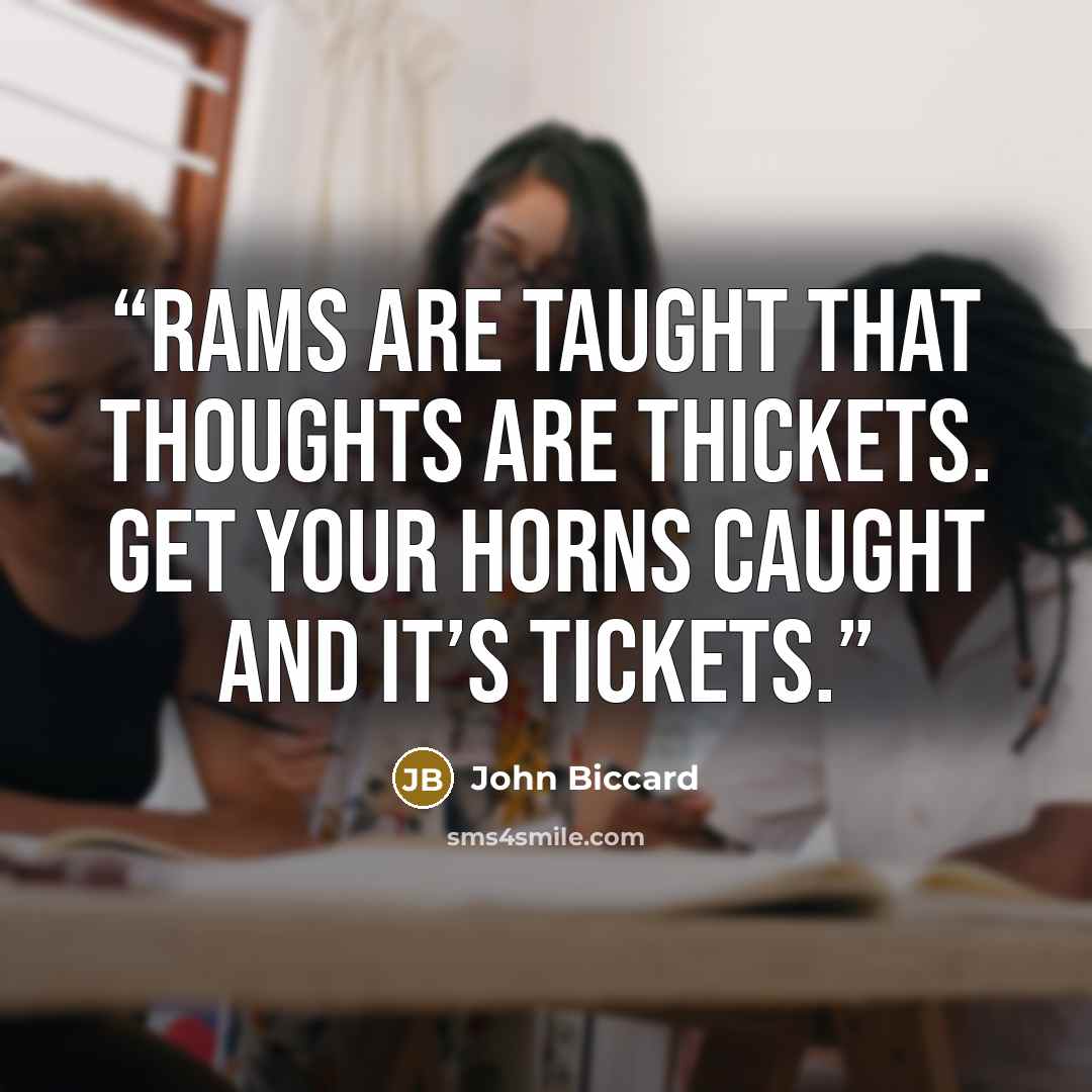 “Rams are taught that thoughts are thickets. Get your horns caught and it’s tickets.” quote by John Biccard