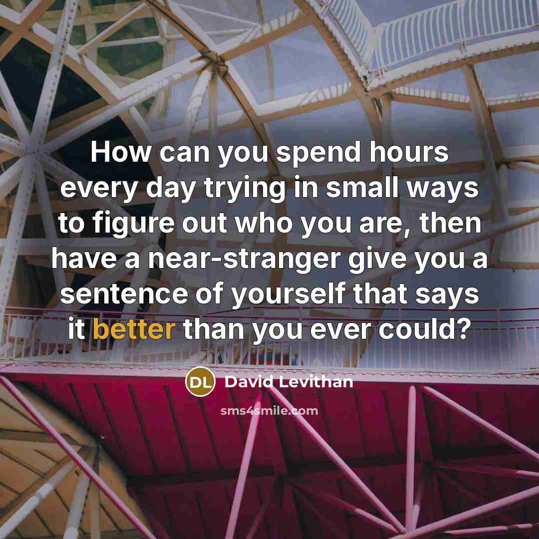 “How can you spend hours every day trying in small ways to figure out who you are, then have a near-stranger give you a sentence of yourself that says it better than you ever could?” quote by David Levithan