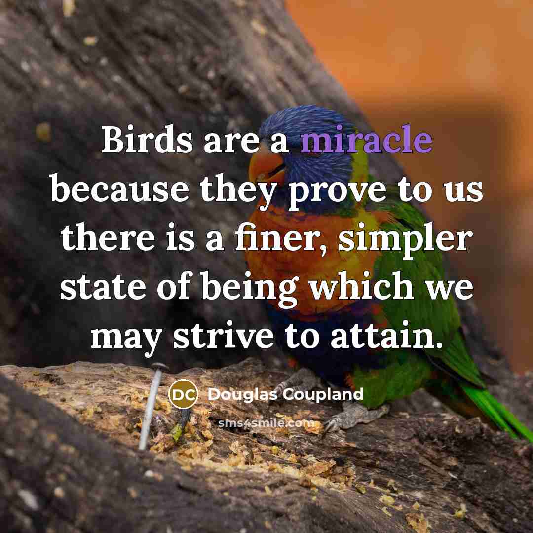 “Birds are a miracle because they prove to us there is a finer, simpler state of being which we may strive to attain.” quote by Douglas Coupland