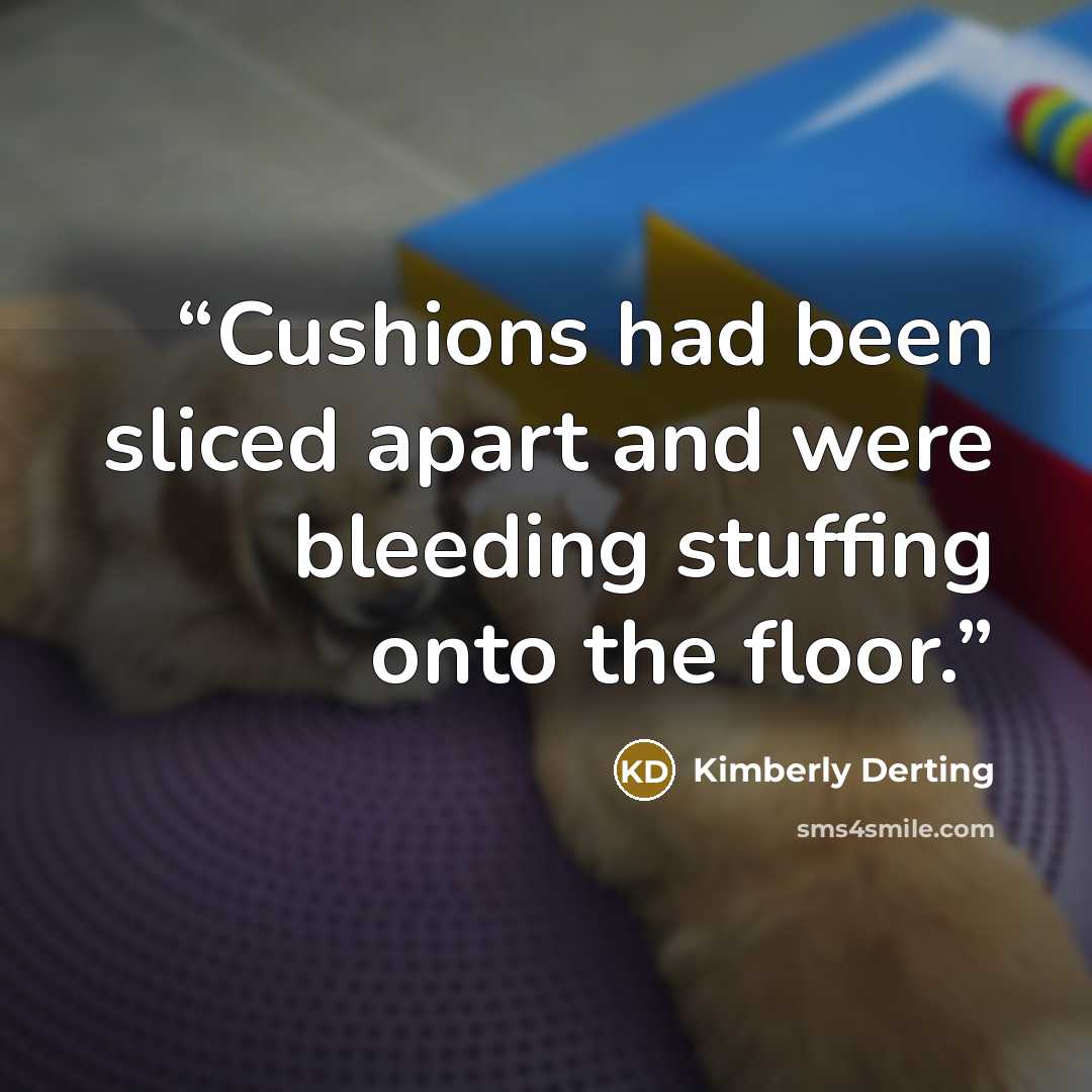 “Cushions had been sliced apart and were bleeding stuffing onto the floor.” quote by Kimberly Derting