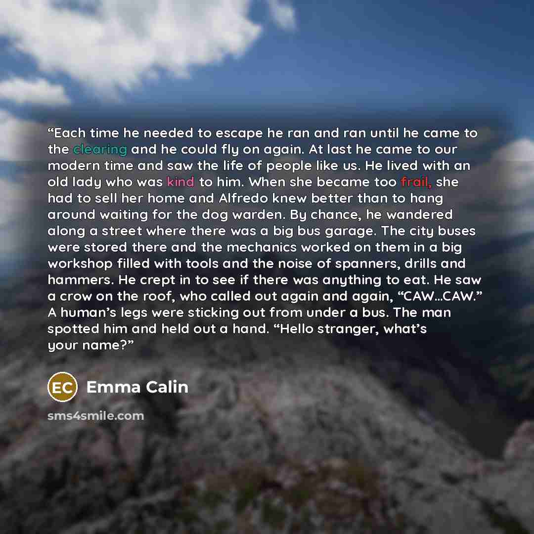 “Each time he needed to escape he ran and ran until he came to the clearing and he could fly on again. At last he came to our modern time and saw the life of people like us. He lived with an old lady who was kind to him. When she became too frail, she had to sell her home and Alfredo knew better…” quote by Emma Calin