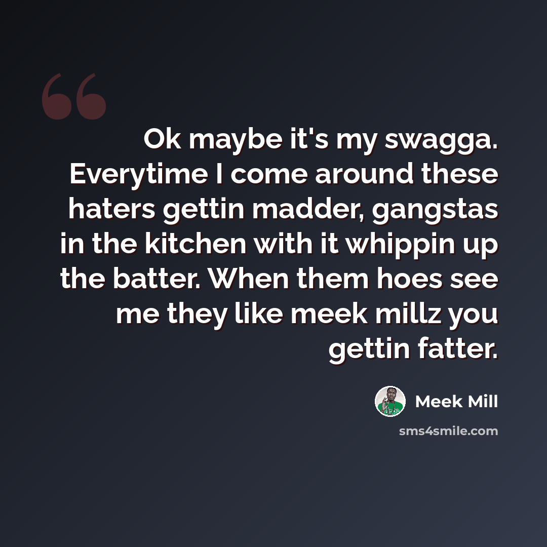 “Ok maybe it's my swagga. Everytime I come around these haters gettin madder, gangstas in the kitchen with it whippin up the batter. When them hoes see me they like meek millz you gettin fatter.” quote by Meek Mill