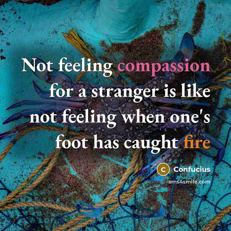 “Not feeling compassion for a stranger is like not feeling when one's foot has caught fire” quote by Confucius