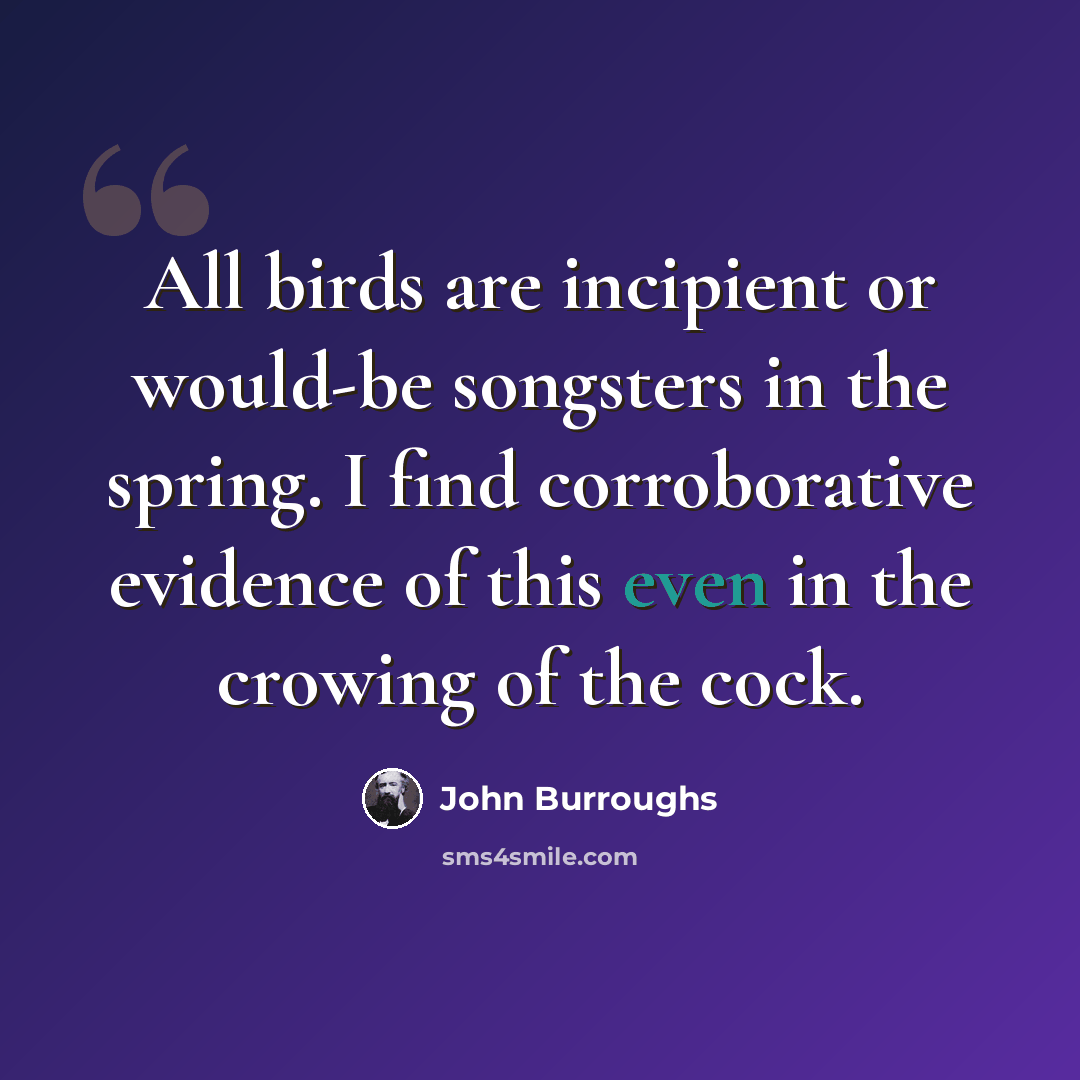 “All birds are incipient or would-be songsters in the spring. I find corroborative evidence of this even in the crowing of the cock.” quote by John Burroughs