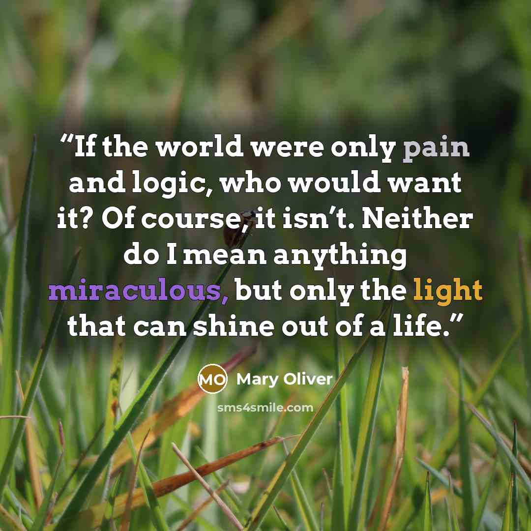 “If the world were only pain and logic, who would want it? Of course, it isn’t. Neither do I mean anything miraculous, but only the light that can shine out of a life.” quote by Mary Oliver