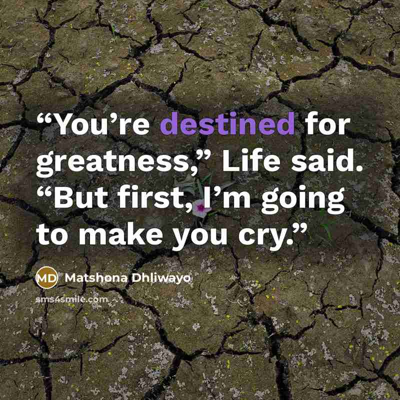 “You’re destined for greatness,” Life said. “But first, I’m going to make you cry.” quote by Matshona Dhliwayo