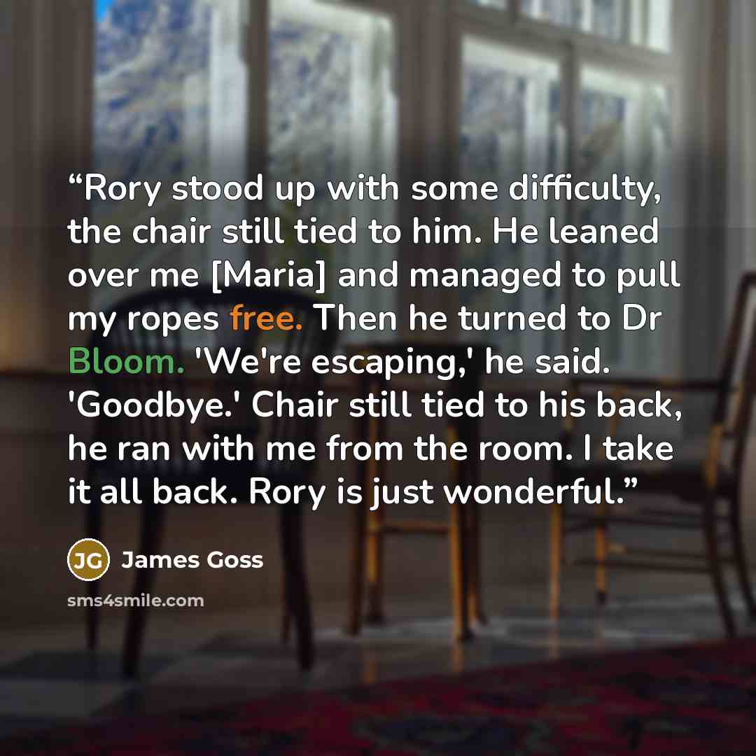 “Rory stood up with some difficulty, the chair still tied to him. He leaned over me [Maria] and managed to pull my ropes free. Then he turned to Dr Bloom. 'We're escaping,' he said. 'Goodbye.' Chair still tied to his back, he ran with me from the room. I take it all back. Rory is just wonderful.” quote by James Goss