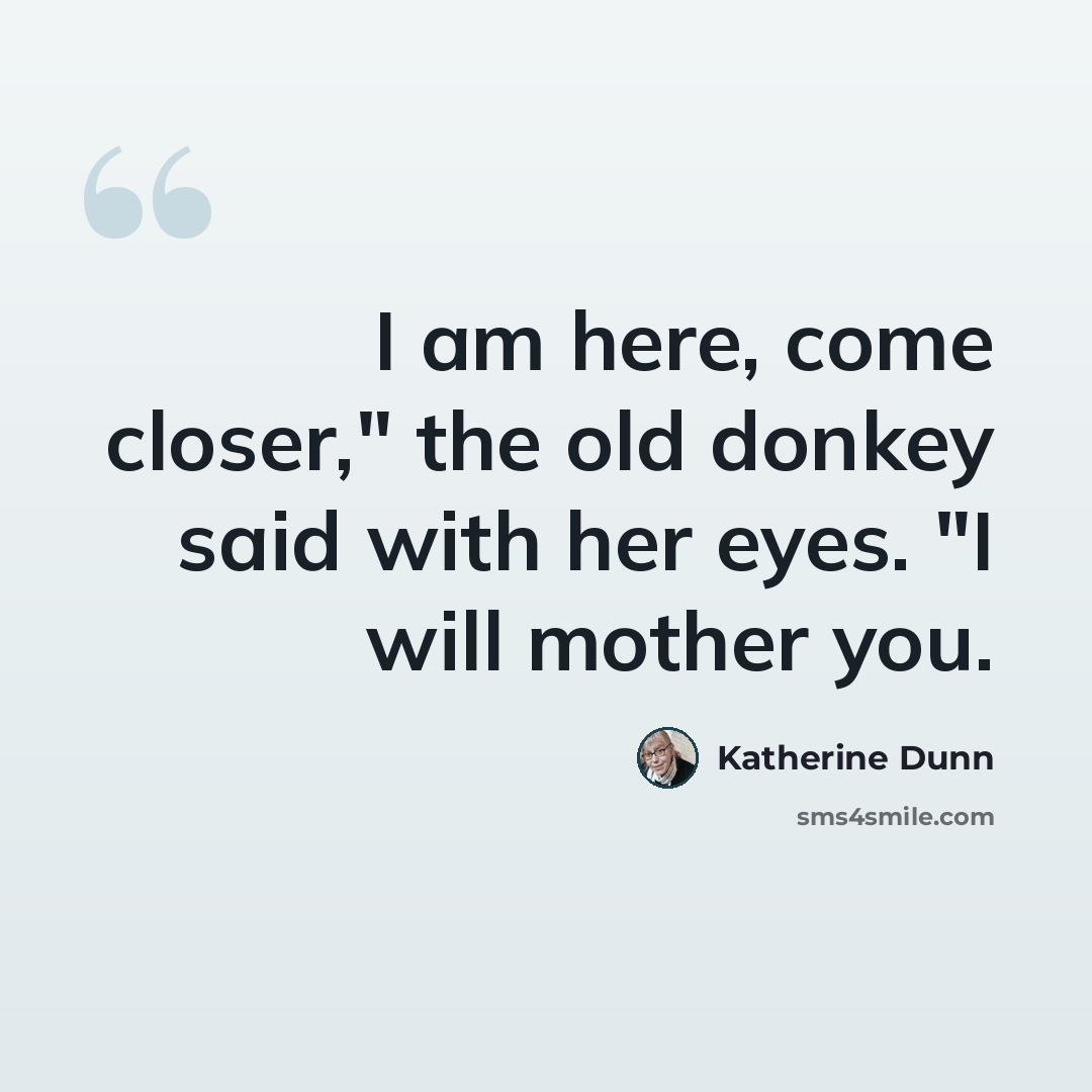 “I am here, come closer," the old donkey said with her eyes. "I will mother you.” quote by Katherine Dunn