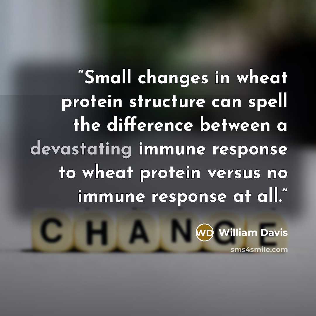“Small changes in wheat protein structure can spell the difference between a devastating immune response to wheat protein versus no immune response at all.” quote by William Davis