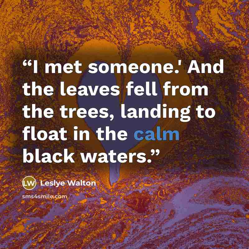 “I met someone.' And the leaves fell from the trees, landing to float in the calm black waters.” quote by Leslye Walton