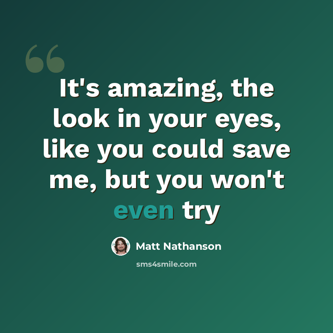 “It's amazing, the look in your eyes, like you could save me, but you won't even try” quote by Matt Nathanson