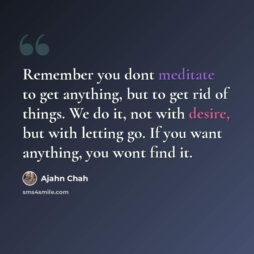 “Remember you dont meditate to get anything, but to get rid of things. We do it, not with desire, but with letting go. If you want anything, you wont find it.” quote by Ajahn Chah