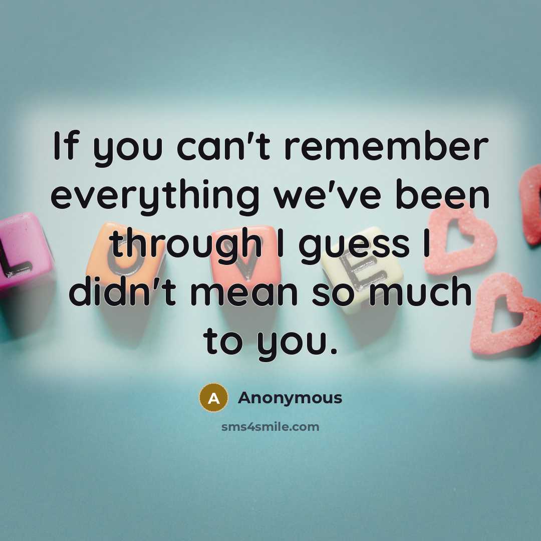 “If you can't remember everything we've been through I guess I didn't mean so much to you.” quote by Anonymous