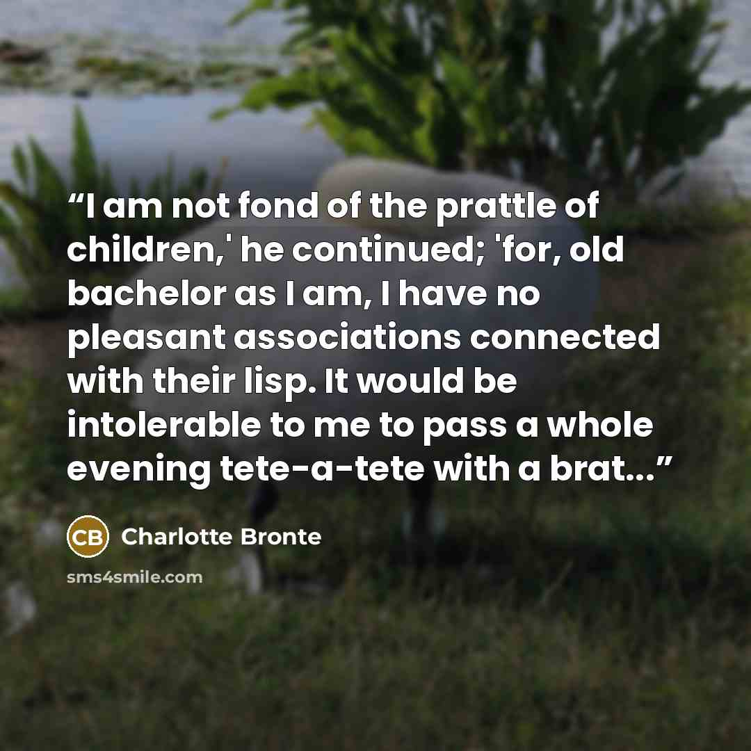 “I am not fond of the prattle of children,' he continued; 'for, old bachelor as I am, I have no pleasant associations connected with their lisp. It would be intolerable to me to pass a whole evening tete-a-tete with a brat...” quote by Charlotte Brontë