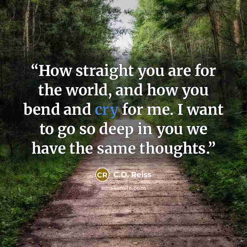 “How straight you are for the world, and how you bend and cry for me. I want to go so deep in you we have the same thoughts.” quote by C.D. Reiss