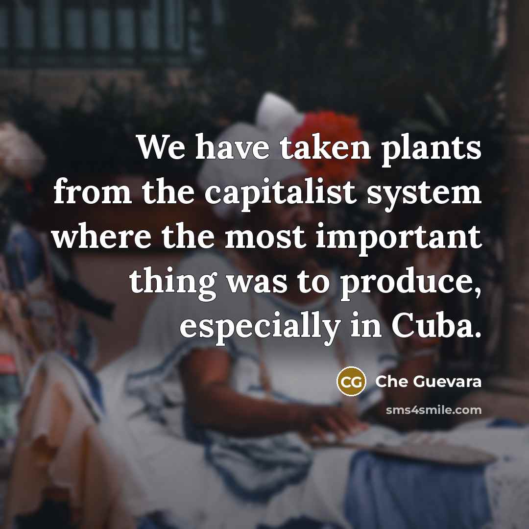 “We have taken plants from the capitalist system where the most important thing was to produce, especially in Cuba.” quote by Che Guevara