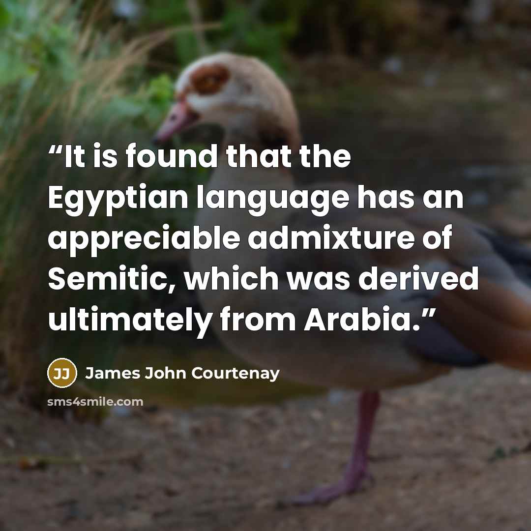 “It is found that the Egyptian language has an appreciable admixture of Semitic, which was derived ultimately from Arabia.” quote by James John Courtenay