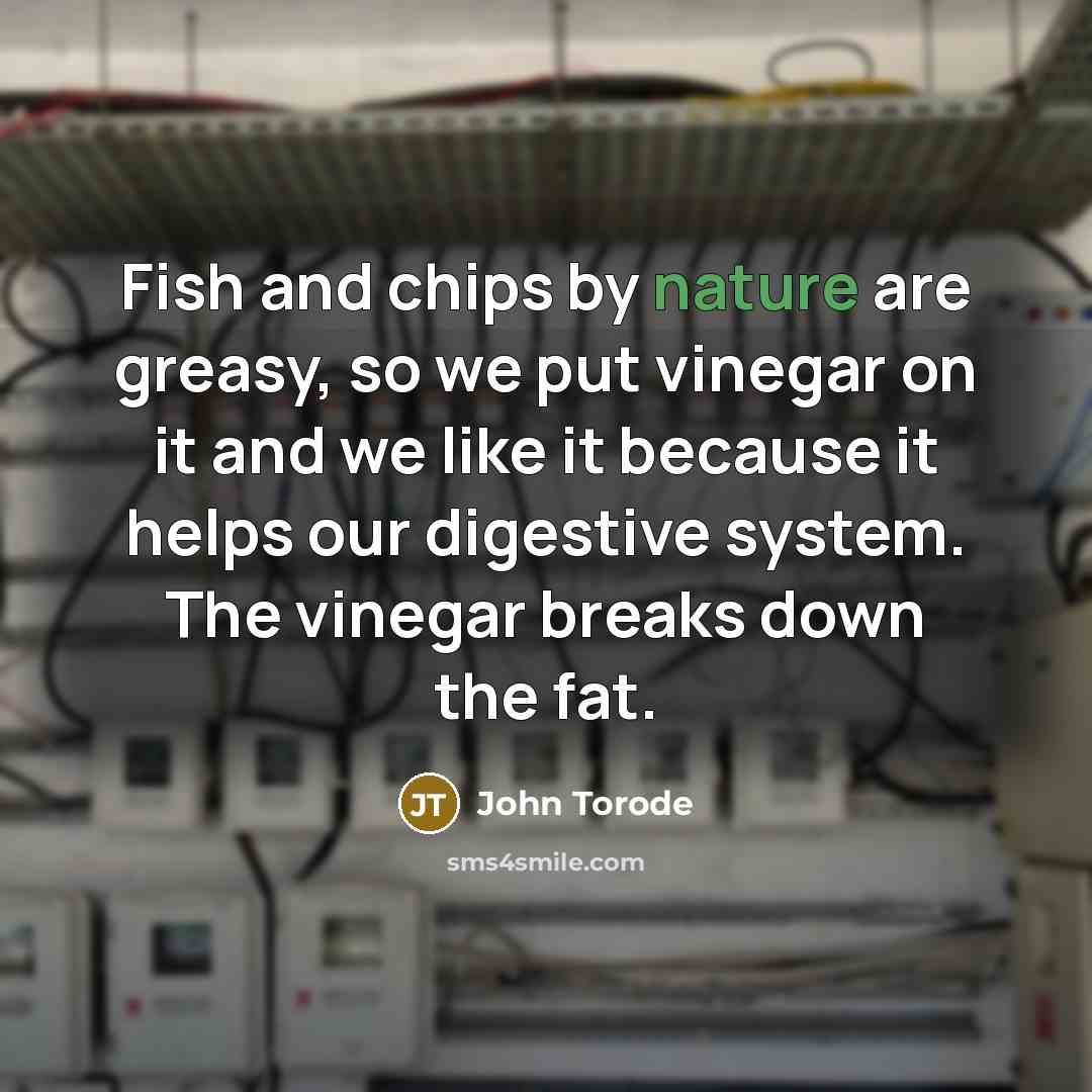 “Fish and chips by nature are greasy, so we put vinegar on it and we like it because it helps our digestive system. The vinegar breaks down the fat.” quote by John Torode