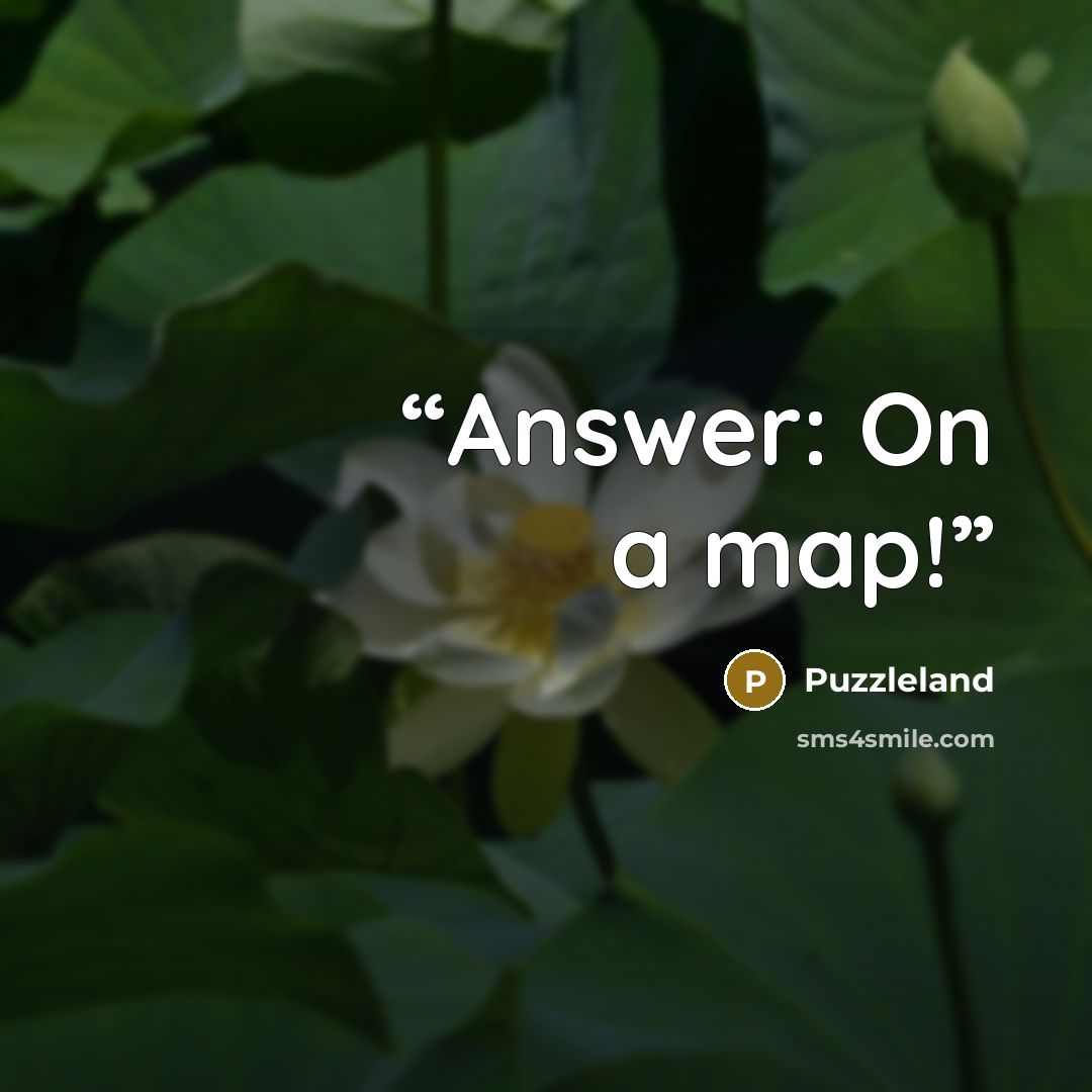 “Answer: On a map!” quote by Puzzleland