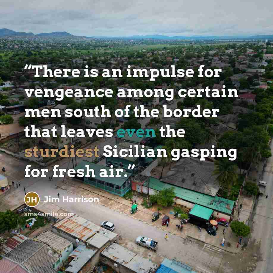 “There is an impulse for vengeance among certain men south of the border that leaves even the sturdiest Sicilian gasping for fresh air.” quote by Jim Harrison