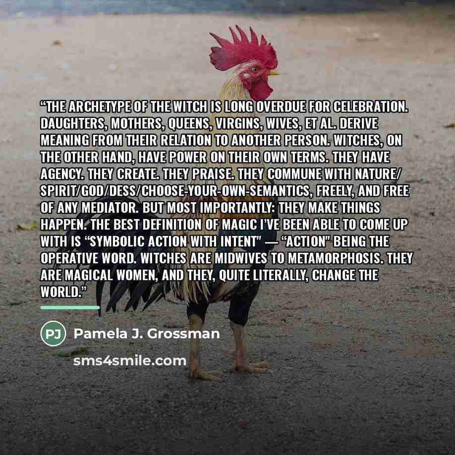 “The archetype of the witch is long overdue for celebration. Daughters, mothers, queens, virgins, wives, et al. derive meaning from their relation to another person. Witches, on the other hand, have power on their own terms. They have agency. They create. They praise. They commune with nature/…” quote by Pamela J. Grossman