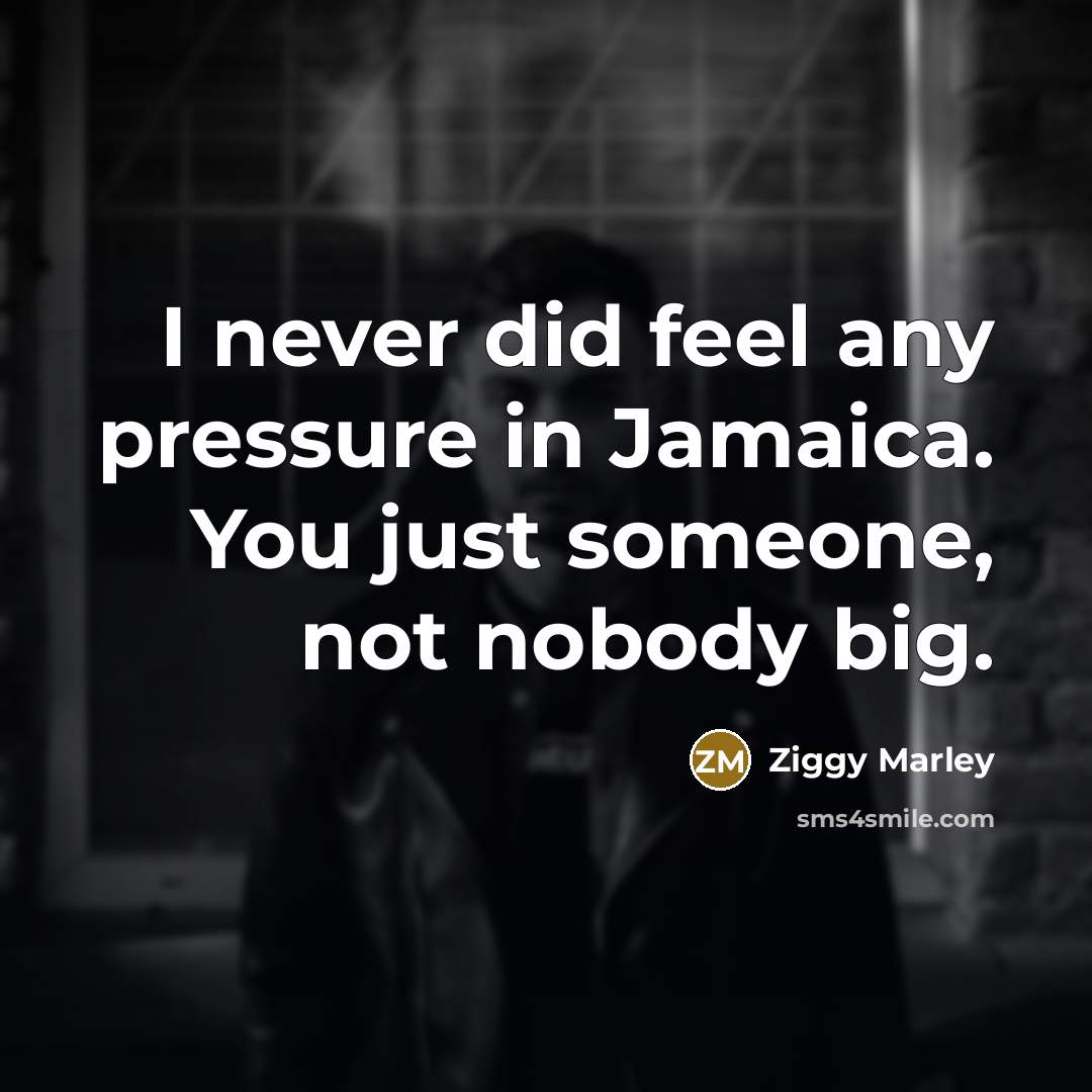 “I never did feel any pressure in Jamaica. You just someone, not nobody big.” quote by Ziggy Marley
