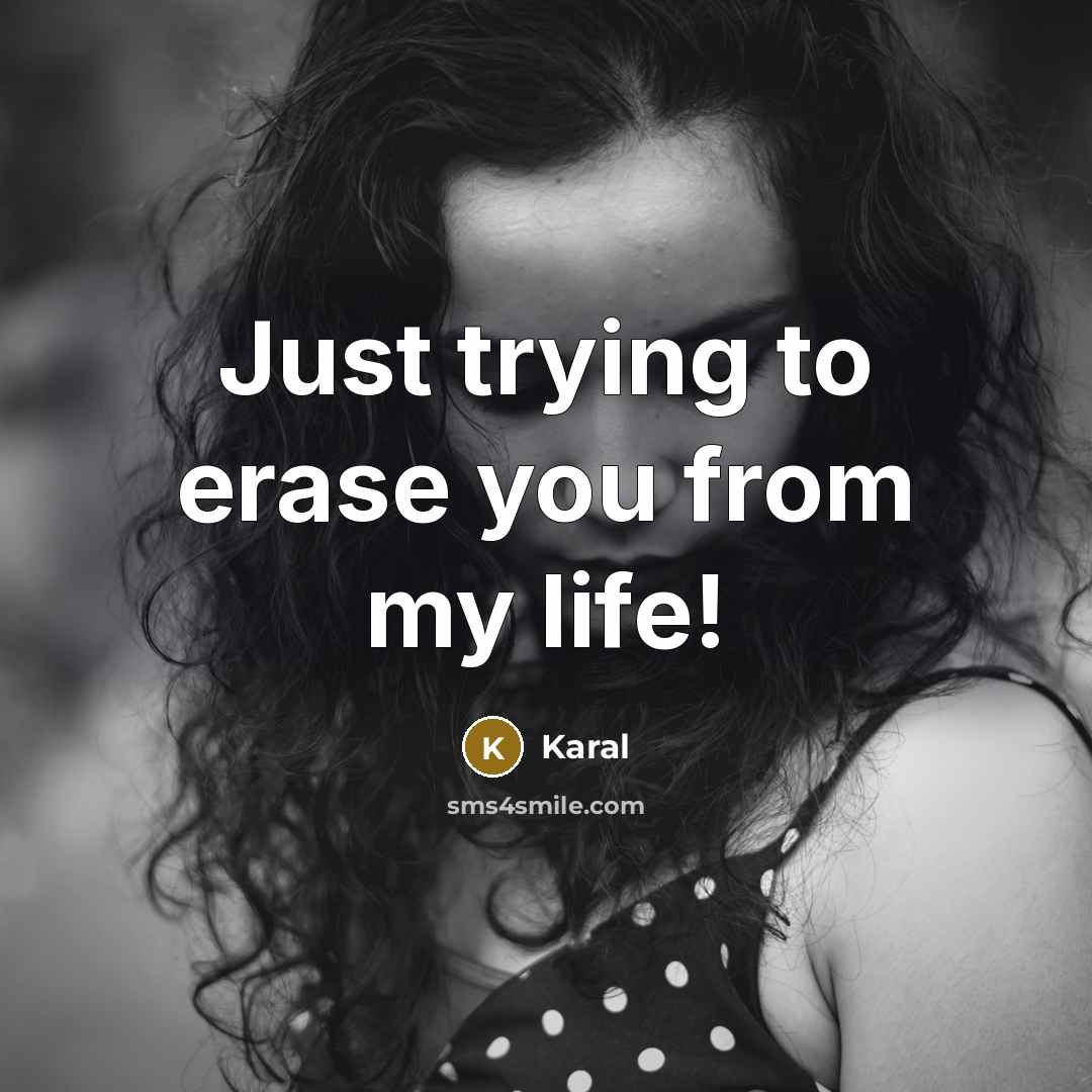 “Just trying to erase you from my life!” quote by Karal