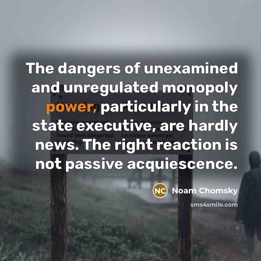 “The dangers of unexamined and unregulated monopoly power, particularly in the state executive, are hardly news. The right reaction is not passive acquiescence.” quote by Noam Chomsky