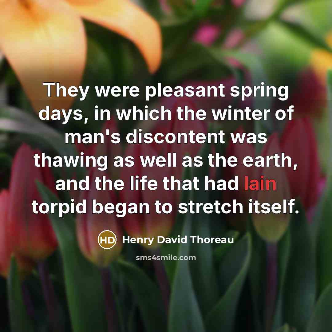 “They were pleasant spring days, in which the winter of man's discontent was thawing as well as the earth, and the life that had lain torpid began to stretch itself.” quote by Henry David Thoreau