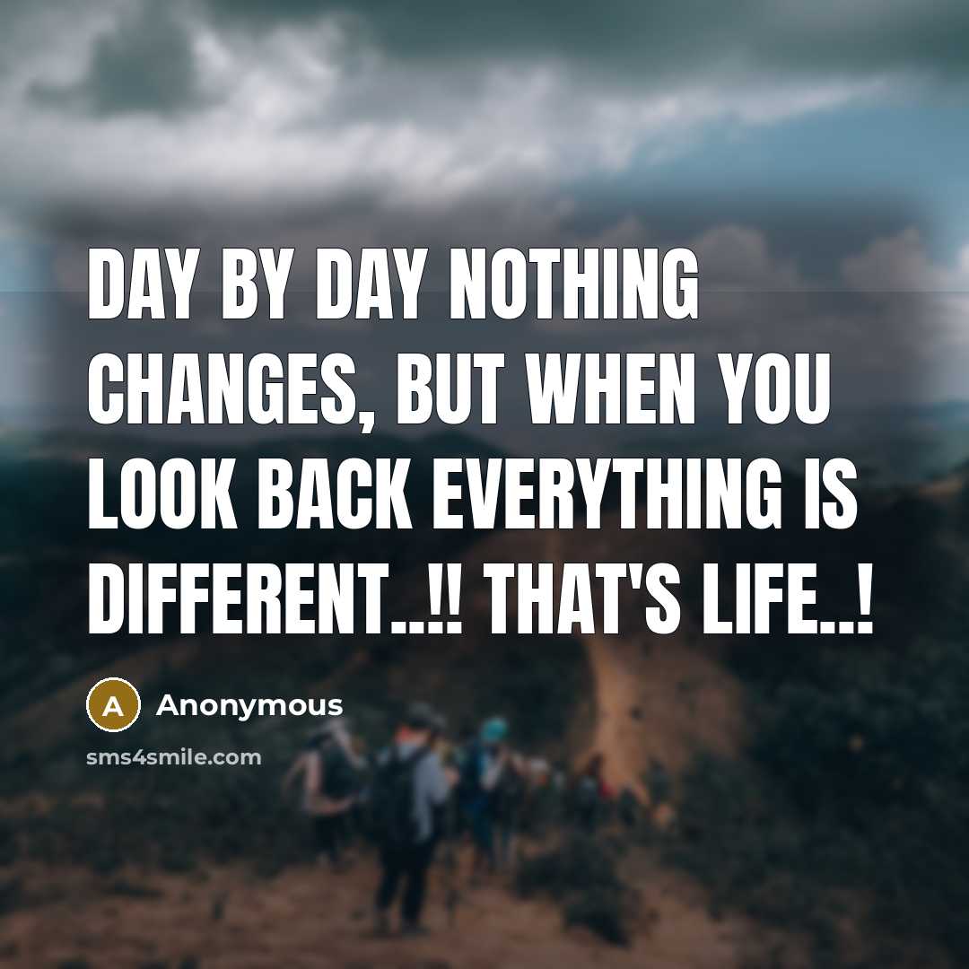 “Day by day nothing changes, but when you look back everything is different..!! ThAt's LIFE..!” quote by Anonymous