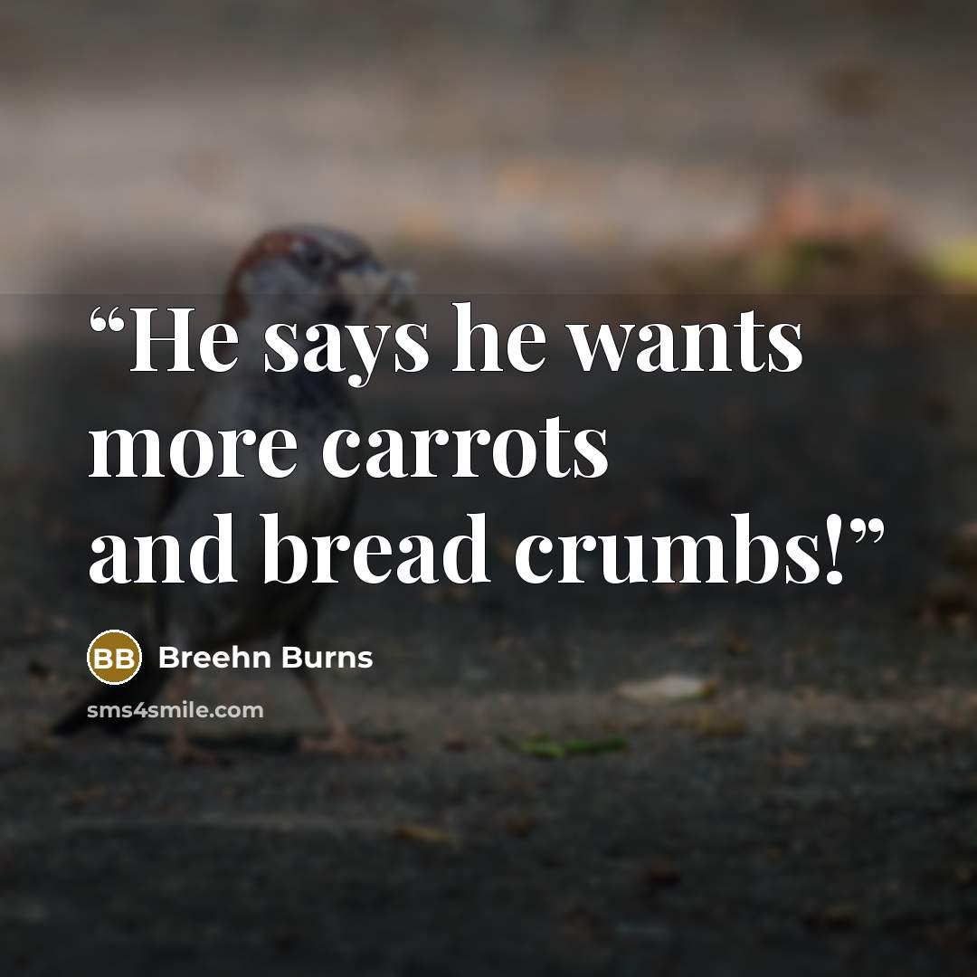 “He says he wants more carrots and bread crumbs!” quote by Breehn Burns